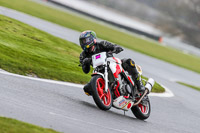 Oulton-Park-14th-March-2020;PJ-Motorsport-Photography-2020;anglesey;brands-hatch;cadwell-park;croft;donington-park;enduro-digital-images;event-digital-images;eventdigitalimages;mallory;no-limits;oulton-park;peter-wileman-photography;racing-digital-images;silverstone;snetterton;trackday-digital-images;trackday-photos;vmcc-banbury-run;welsh-2-day-enduro